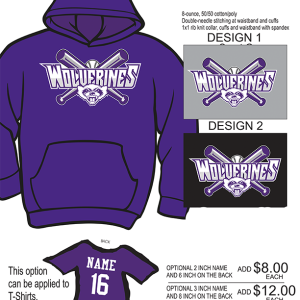 Wolverines Baseball Hoodie