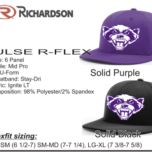 Wolverines Baseball Richardson Pulse R-Flex Cap